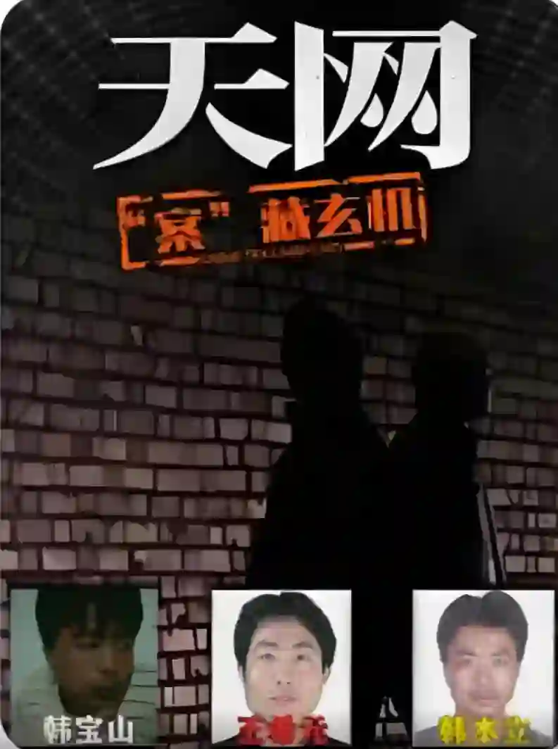 天网：“案”藏玄机