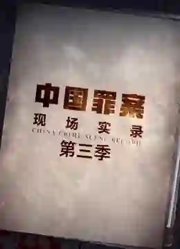 罪案现场实录 第三季