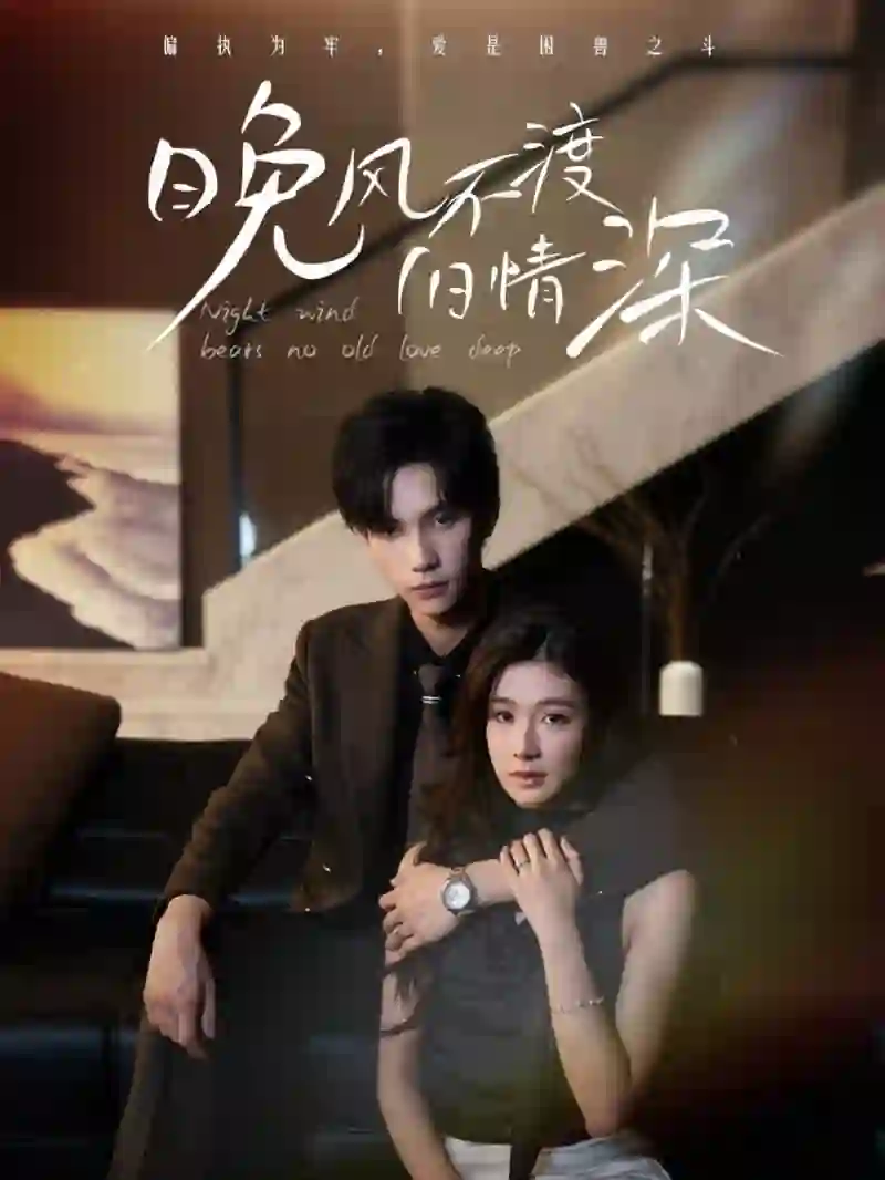 晚风不渡旧情深