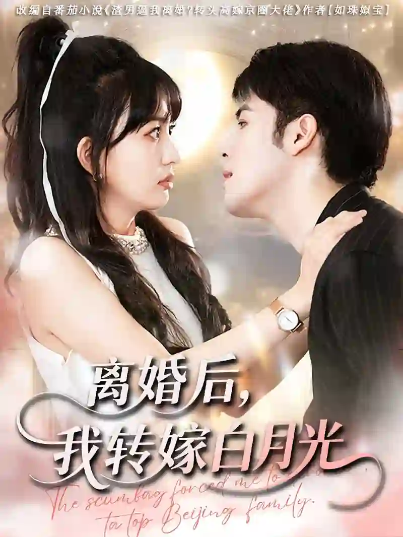 离婚后我转嫁白月光